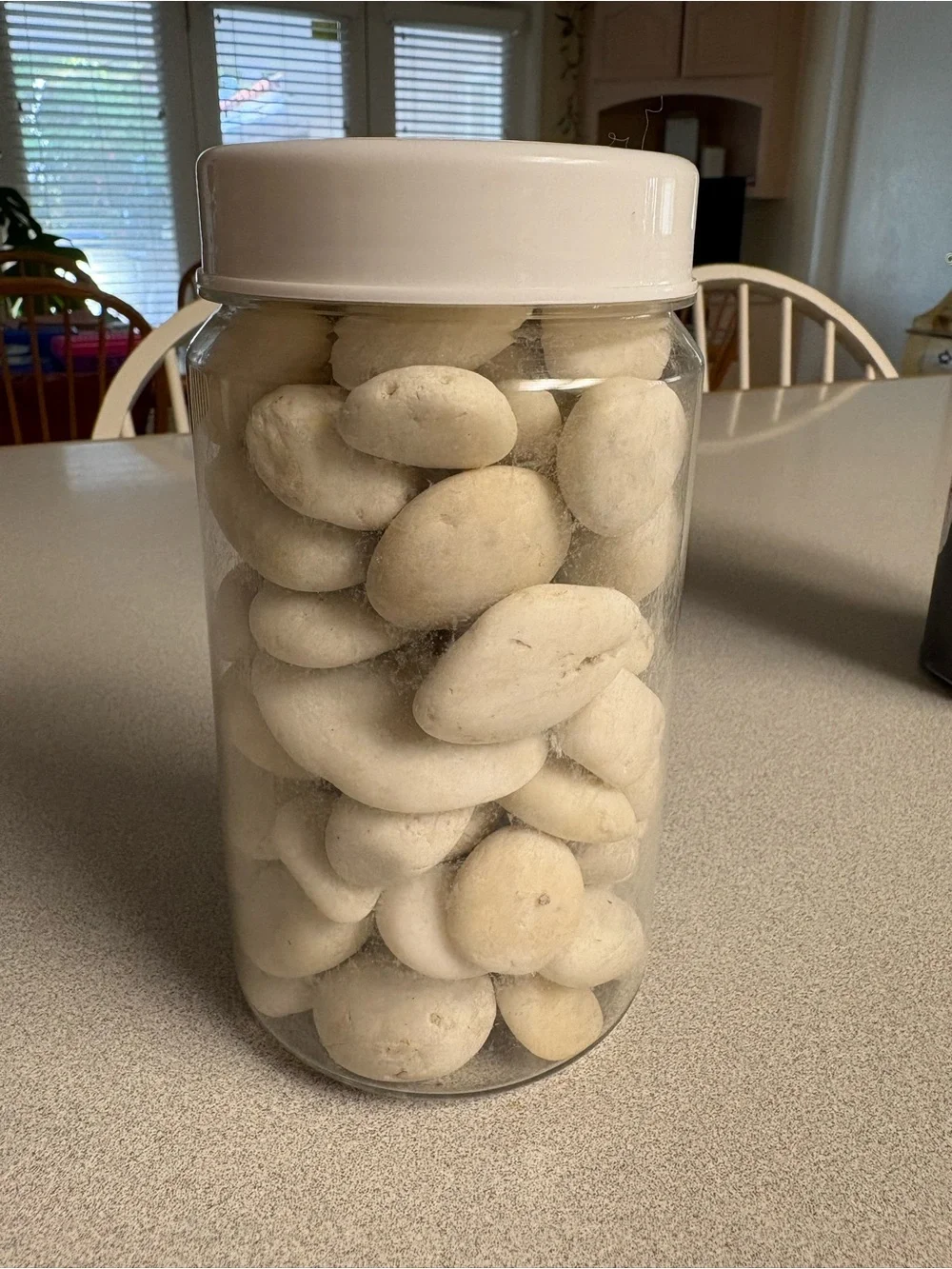 Crate&Barrel White Lidded Beach Stones Container